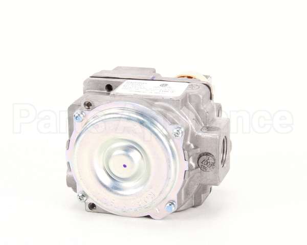 00-410841-00030 Vulcan Hart Valve,Combination,(Nat)