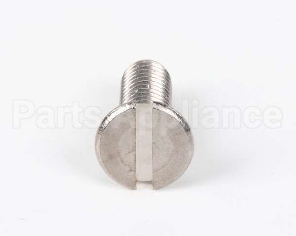 00300021 Nuova Simonelli Shower Screw (M6X16 Tstc)
