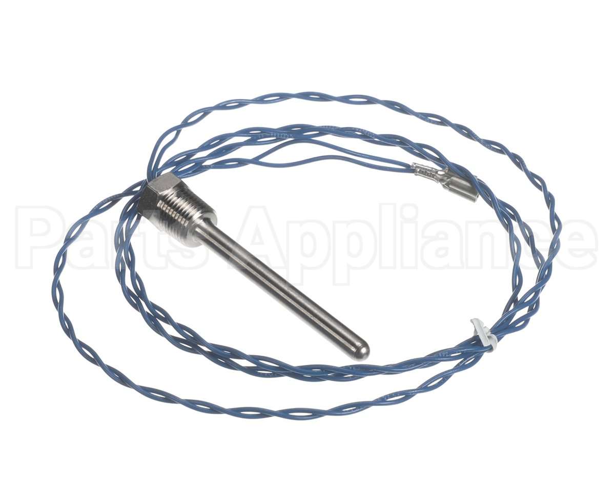 006532F Raypak Probe