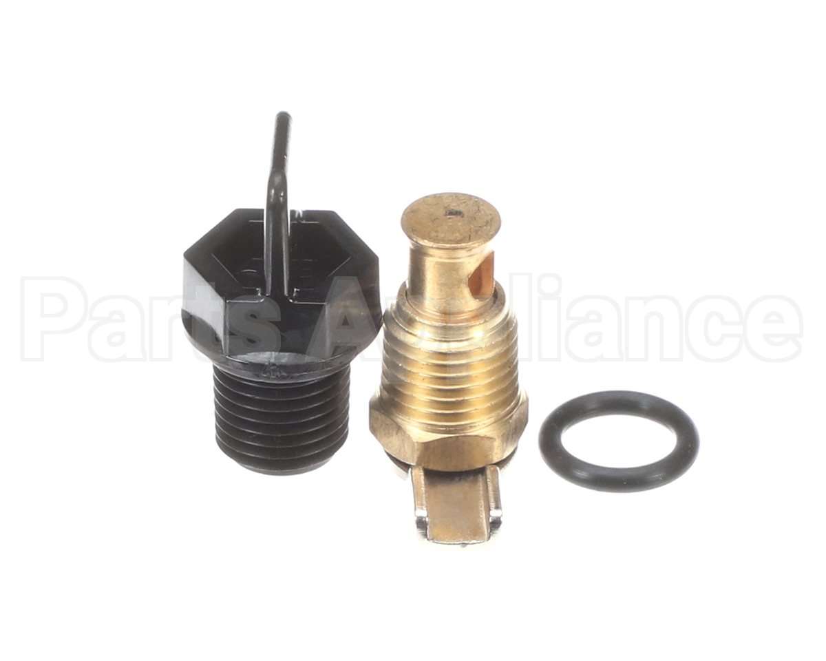 006721F Raypak Drain Plug Kit