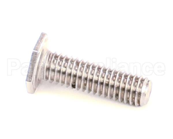 01-402175-00529 Berkel Hex Head Screw, Special