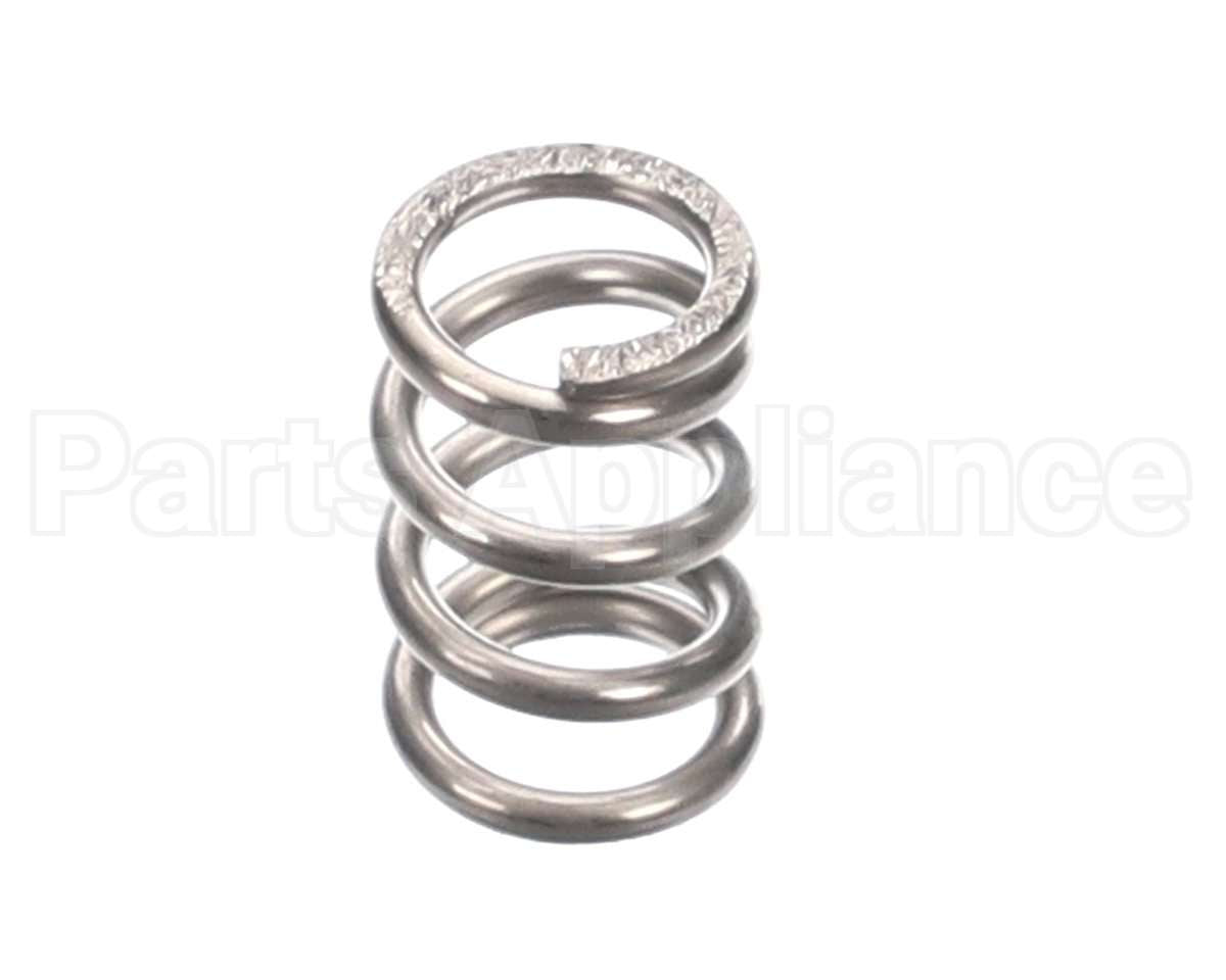 01-403275-00062 Berkel Spring