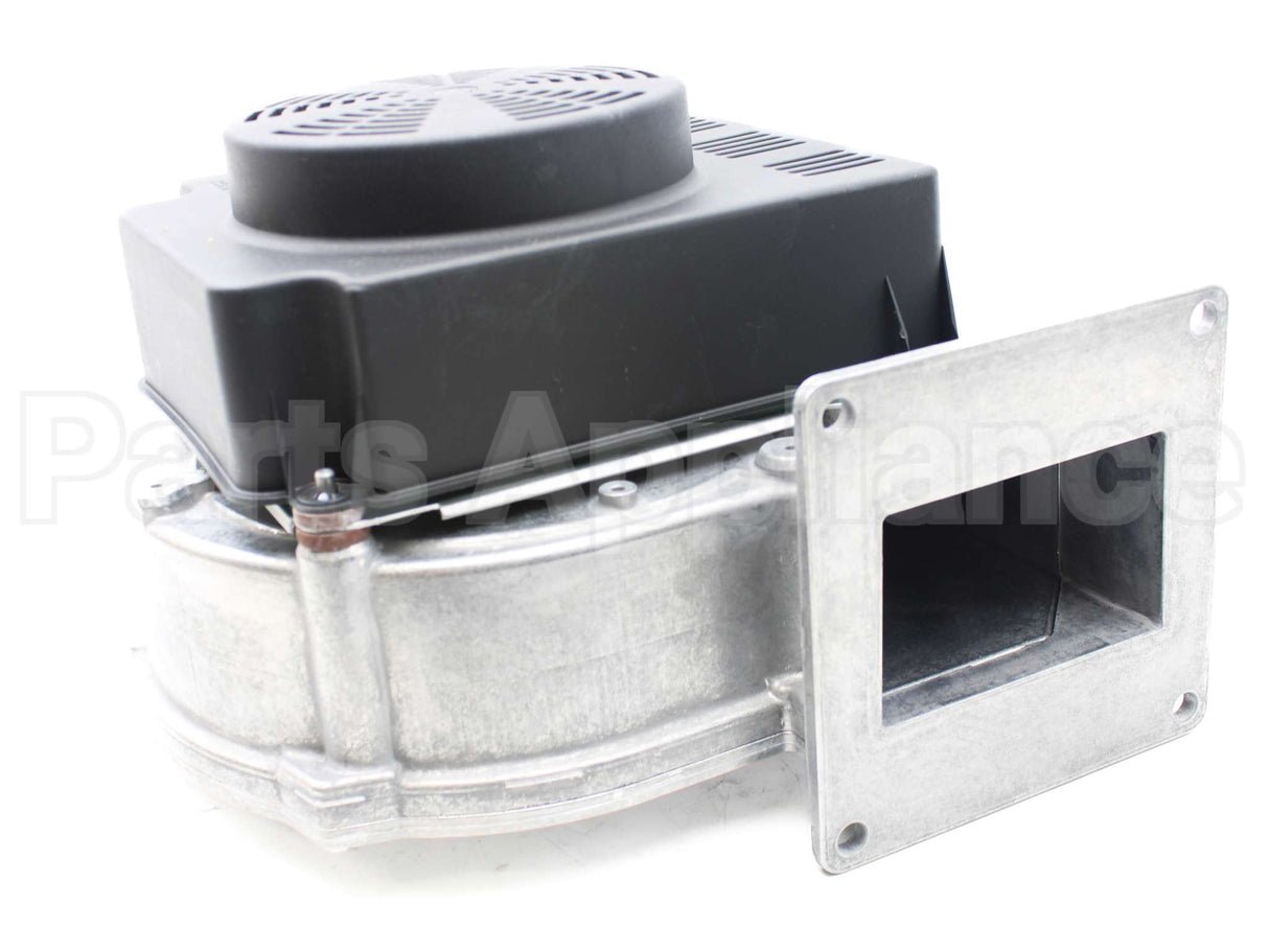 013196F Raypak Combustion Air Blower Assembly