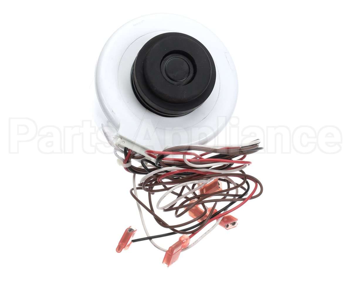 0131P00007SP Goodman 208/230V 1300Rpm 2Spd Motor