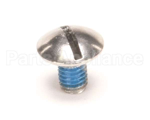 01326.0002 Bunn Screw, Trh Lkg Patch 10-32X.31