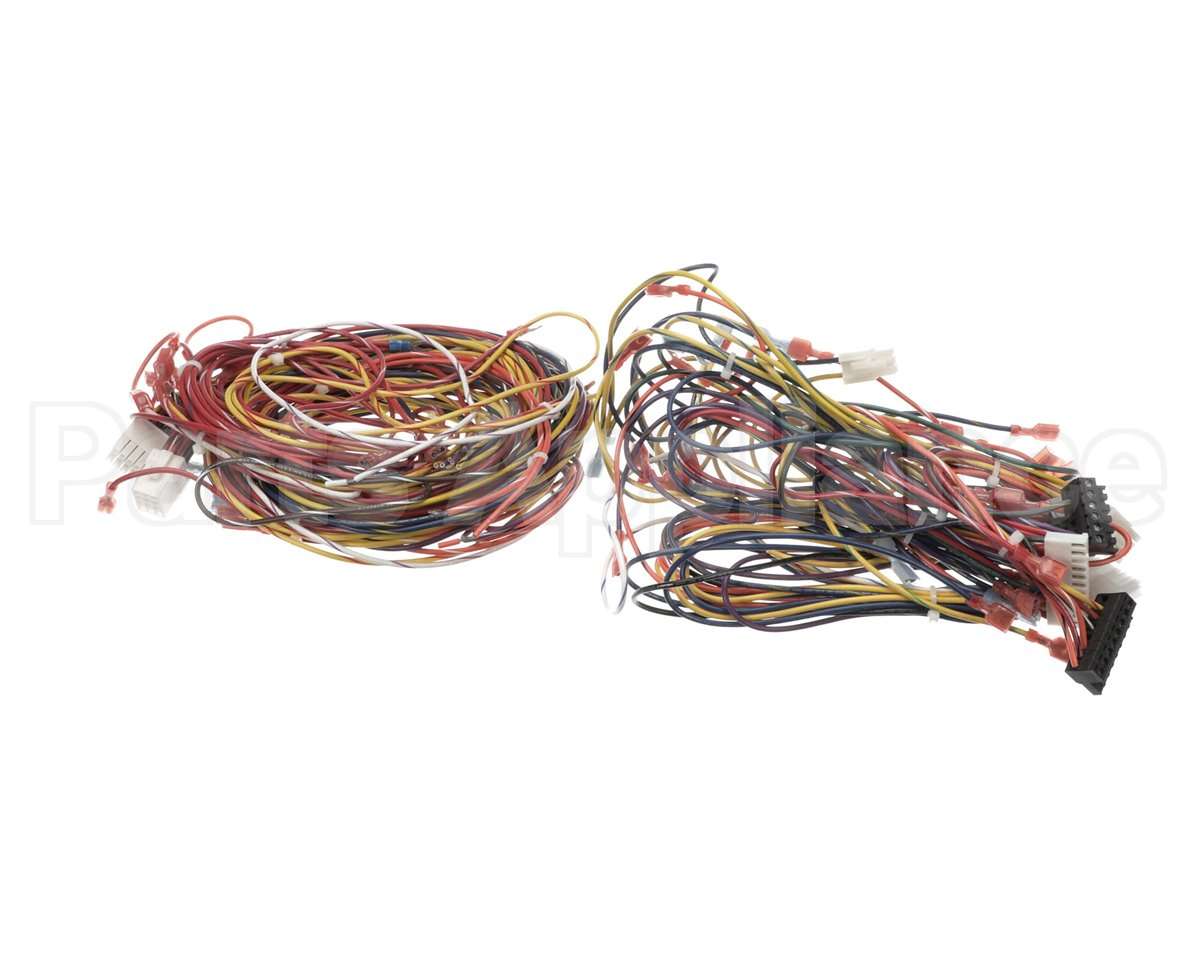 014680F Raypak Wire Harness