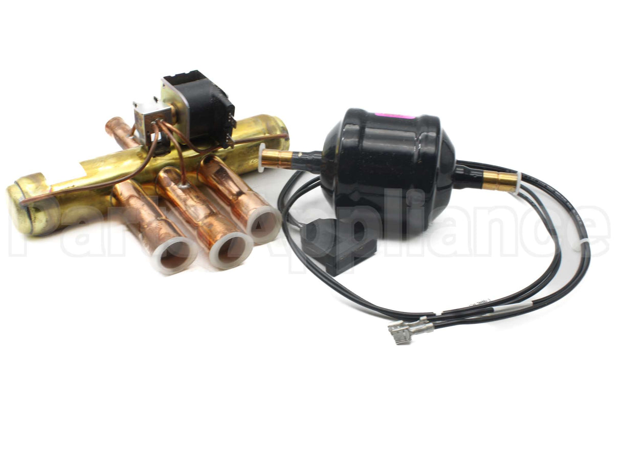 0151R00069SP Amana-Goodman 1/2"X3/4" Reversing W/ Filter