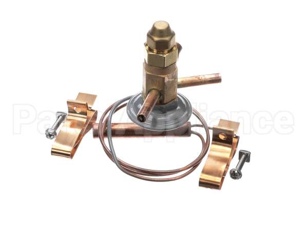0403867 Hussmann Valve-Expansion Fbve .5 C (49)