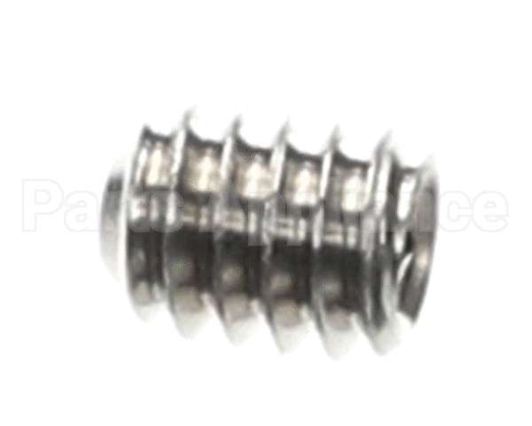 0501395 Champion - Moyer Diebel Screw, Socket 1/4-20X5/16 Ss