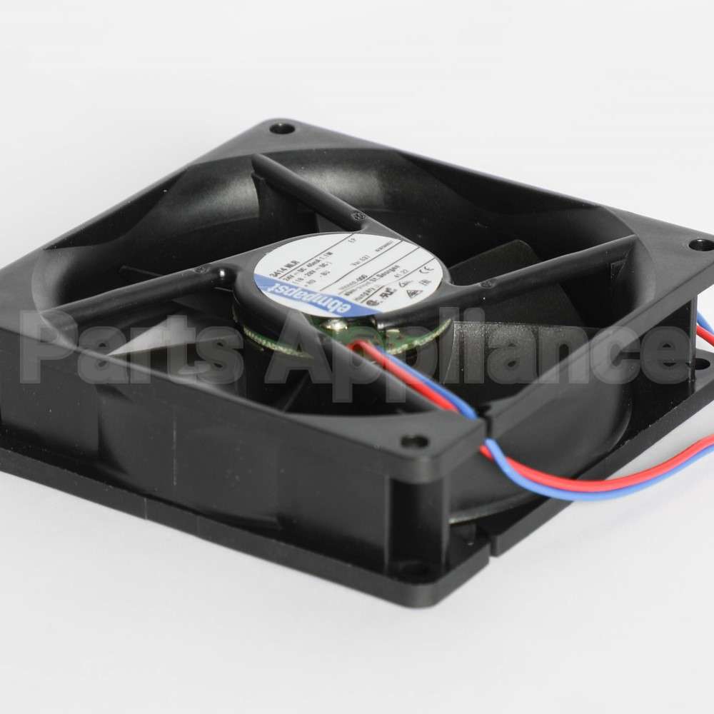 055002-000 Vikingfan, Large, Ar 30/36