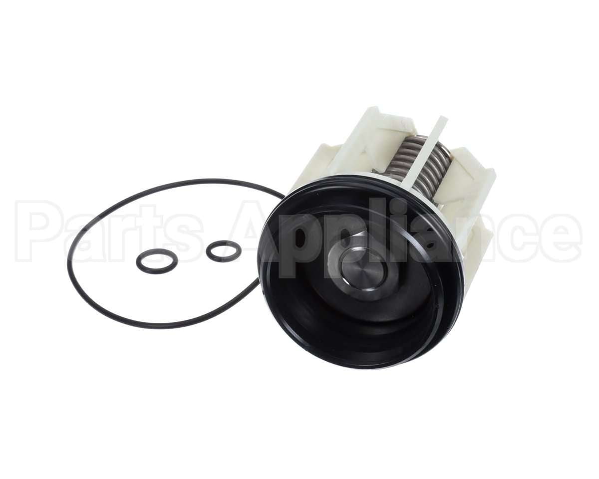 0794055 Watts Lfrk 009 Ck2 Check Vlv Kit