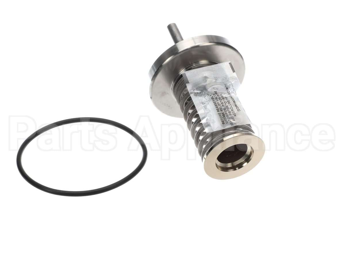 0794096 Watts 1St Chk Rpr Kit 2.5&3" Ldfree