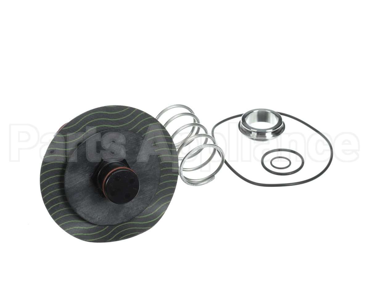 0887545 Watts Rk009M2-Vt,Relief Vlv Kit 2"