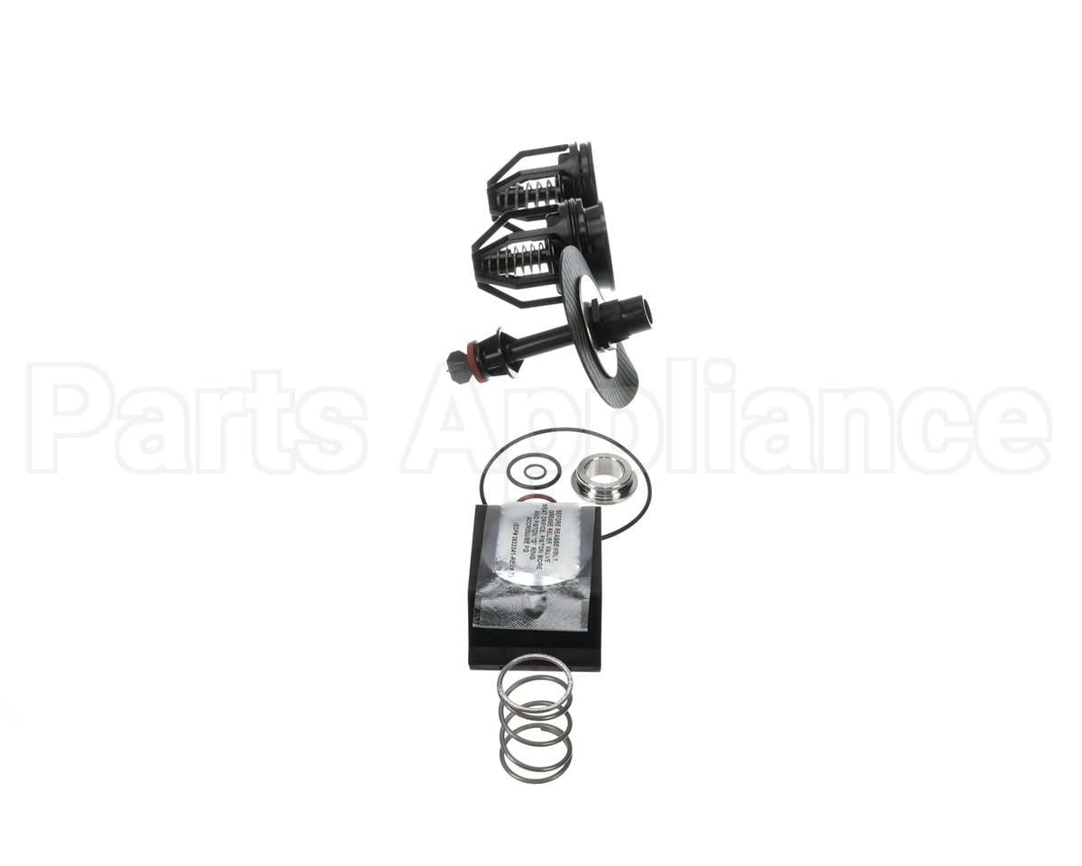 0887794 Watts Rk009M2-T,1-1/4-1-1/2 Rep Kit