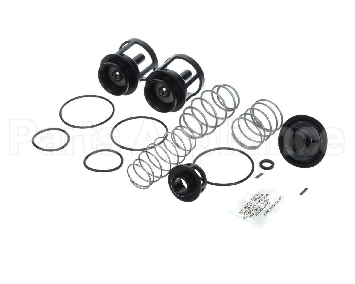 0888169 Watts 919 1" Repair Kit