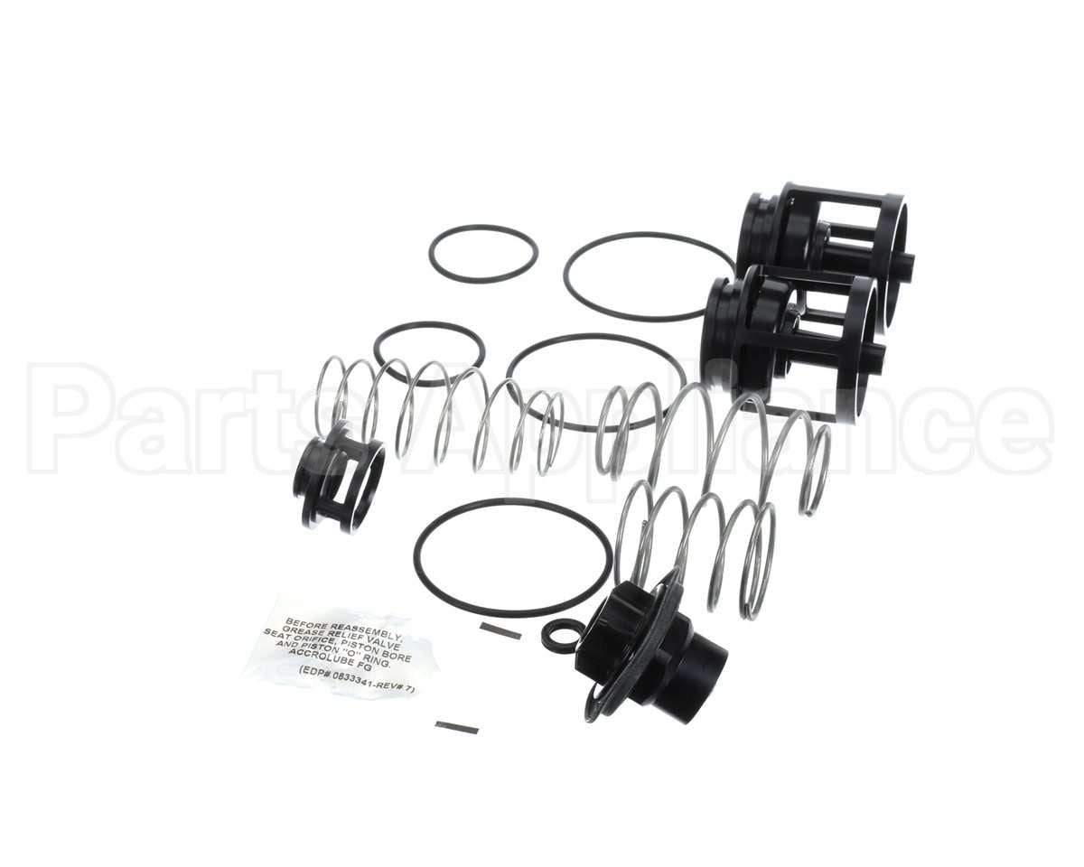 0888169 Watts 919 1" Repair Kit