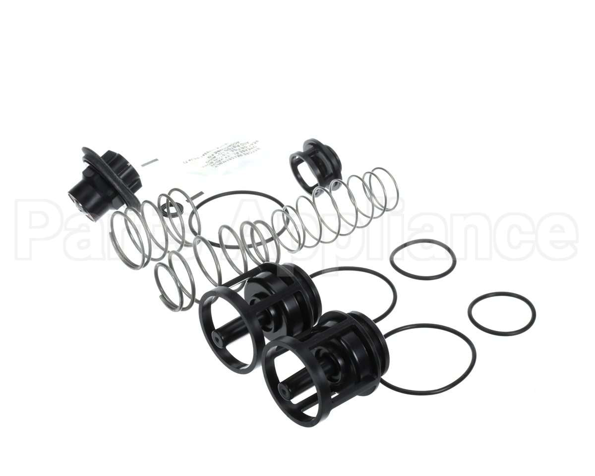 0888169 Watts 919 1" Repair Kit