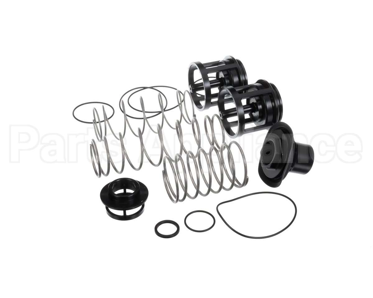 0888171 Watts Rk919T-2 Repair Kit