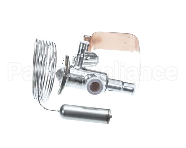 089993 Electrolux Professional Valvole