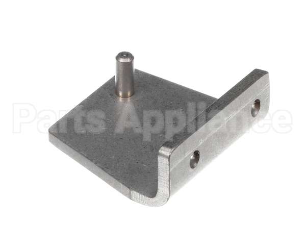 099200 Electrolux Professional Hinge, Inf.