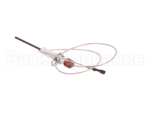 0C1049 Electrolux Professional Flame Dectection Plug