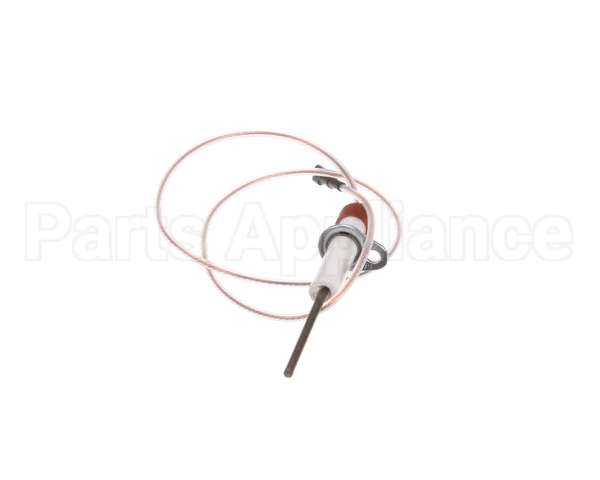 0C1049 Electrolux Professional Flame Dectection Plug
