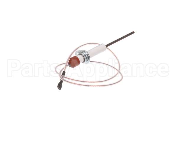 0C1049 Electrolux Professional Flame Dectection Plug