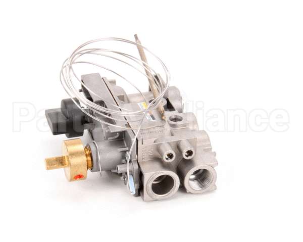 0C6625 Electrolux Professional Gas Valve