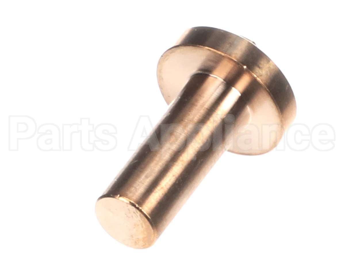 0CBAAB Electrolux Professional Door Hinge Pivot