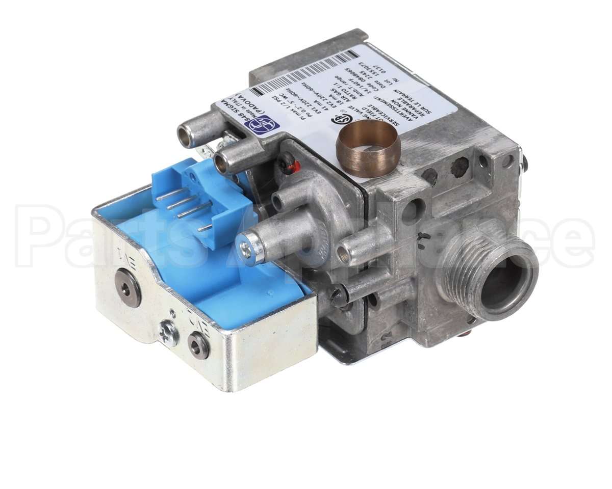 0CBAKU Electrolux Professional Gas Valve; 220V 60Hz; Usa;