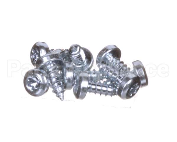 0D6250 Electrolux Professional Screw, Set 10Pcs