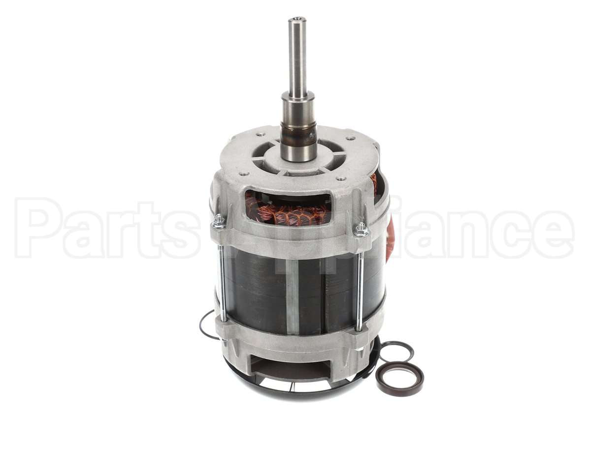 0D8078 Electrolux Professional Motor Assembly 115V 60Hz 1000W