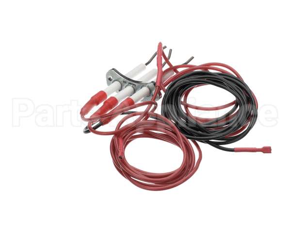 0G6241 Electrolux Professional Spark Plug With Flame Dectection Plug