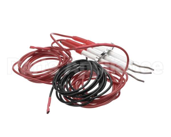 0G6241 Electrolux Professional Spark Plug With Flame Dectection Plug