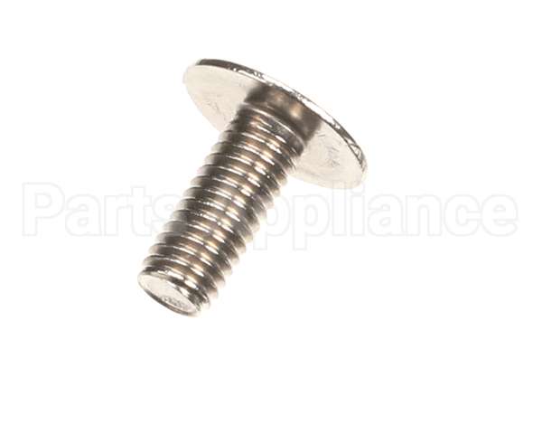 0U0666 Electrolux Professional Screw, 10 Pieces