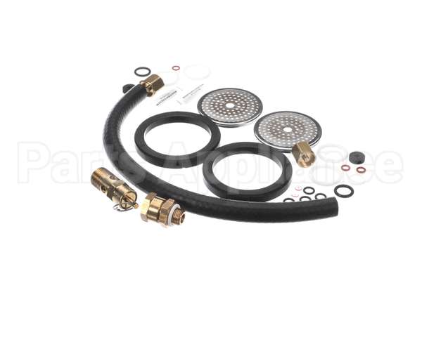 1.7322 Synesso Rebuild Kit, Annual Pm For 2 Group Machi