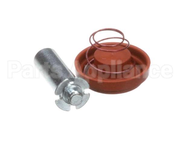 1000.00098.00 Fetco Kit, Valve Rebuild, Dsv11, 24V