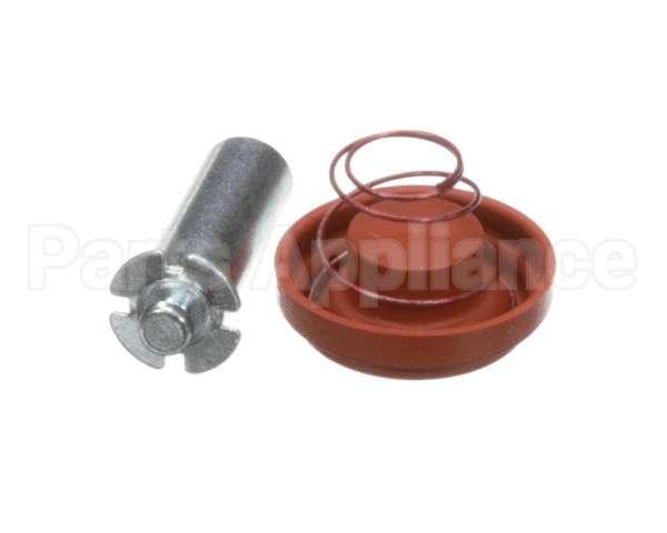 1000.00098.00 Fetco Kit, Valve Rebuild, Dsv11, 24V