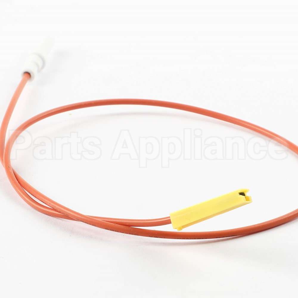 10004769 Bosch Igniter