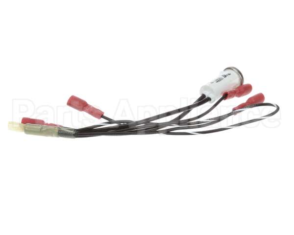 100051 Globe Indicator Lamp Assembly