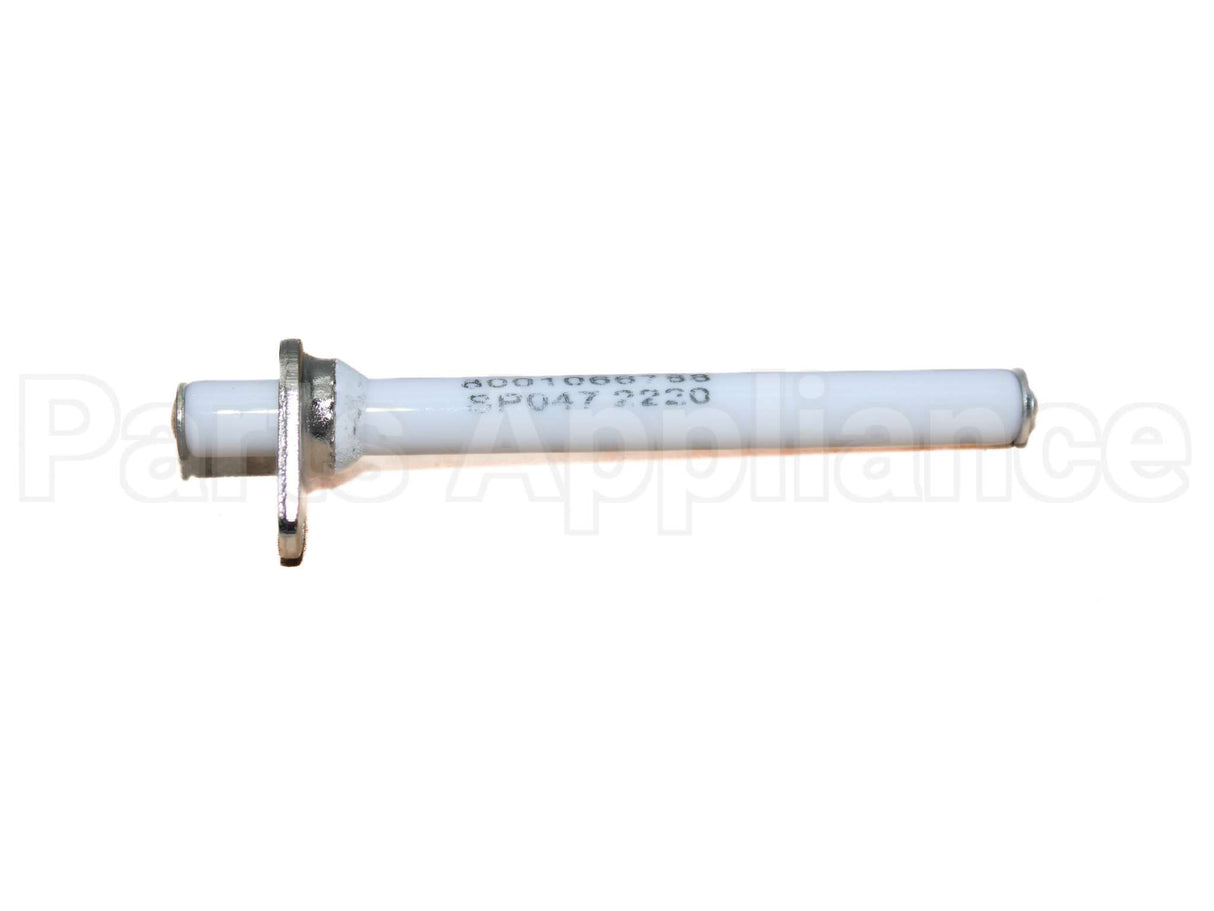 10006471 Bosch Electrode