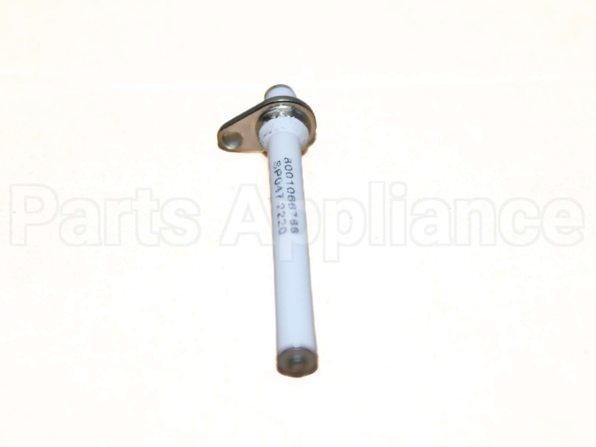 10006471 Bosch Electrode