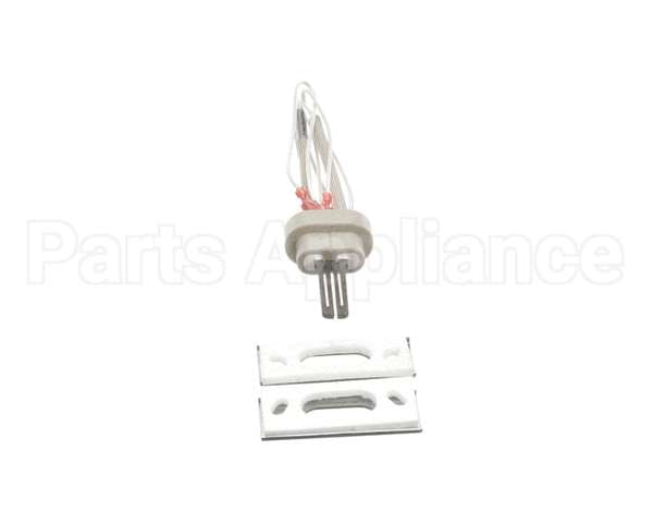 100093631 Polaris Water Heater Igniter Kit Includes:gasket Br
