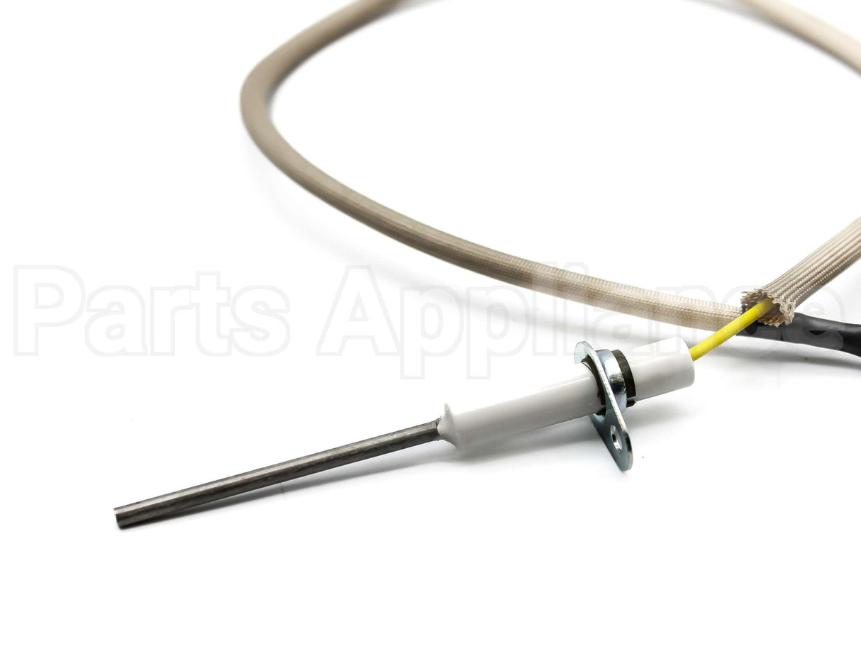 100097250 Lochinvar & A.o. Smith Flame Sensor Pse-Gw1