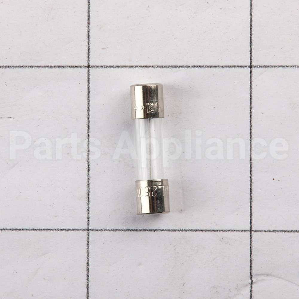 10010269 Bosch Fuse