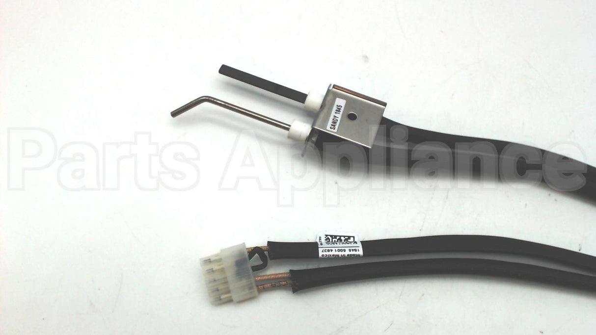 100109355 Lochinvar & A.o. Smith Naturalignitorassembly 75