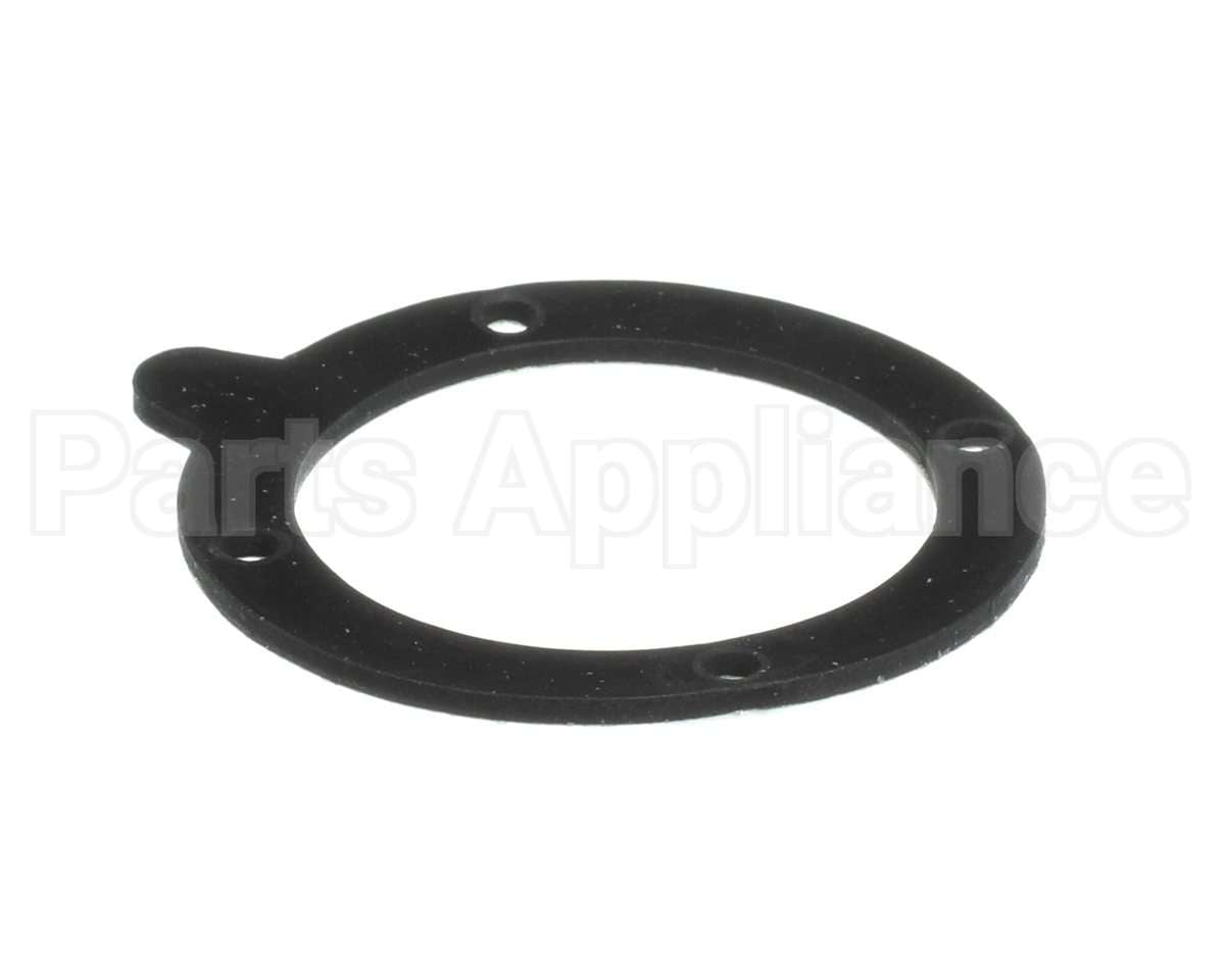 100146541 Lochinvar Gasket,Blower