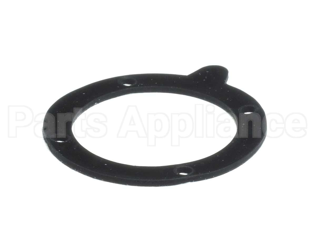 100146541 Lochinvar Gasket,Blower
