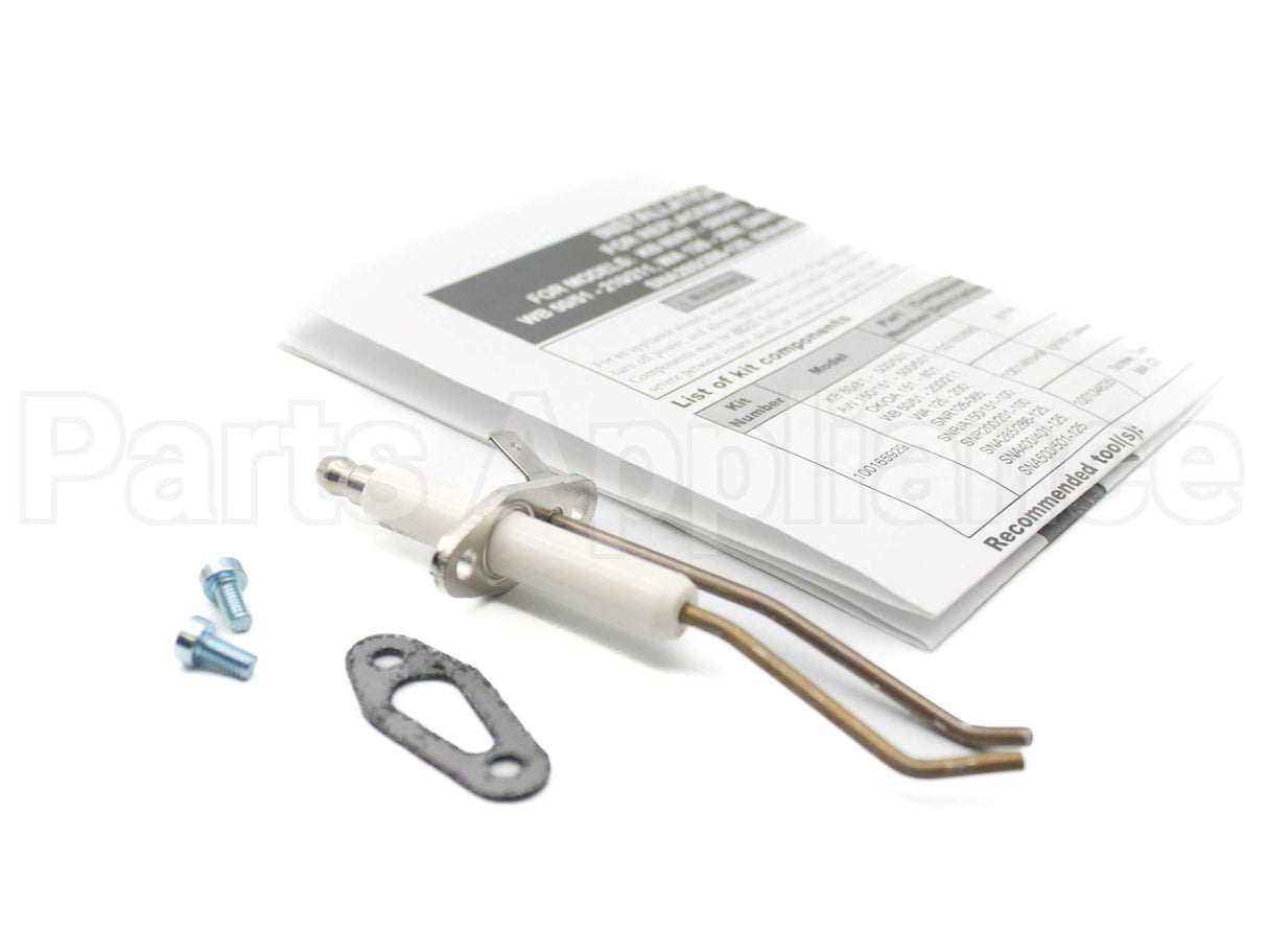 100165929 Lochinvar & A.o. Smith Ignitor W/Gasket