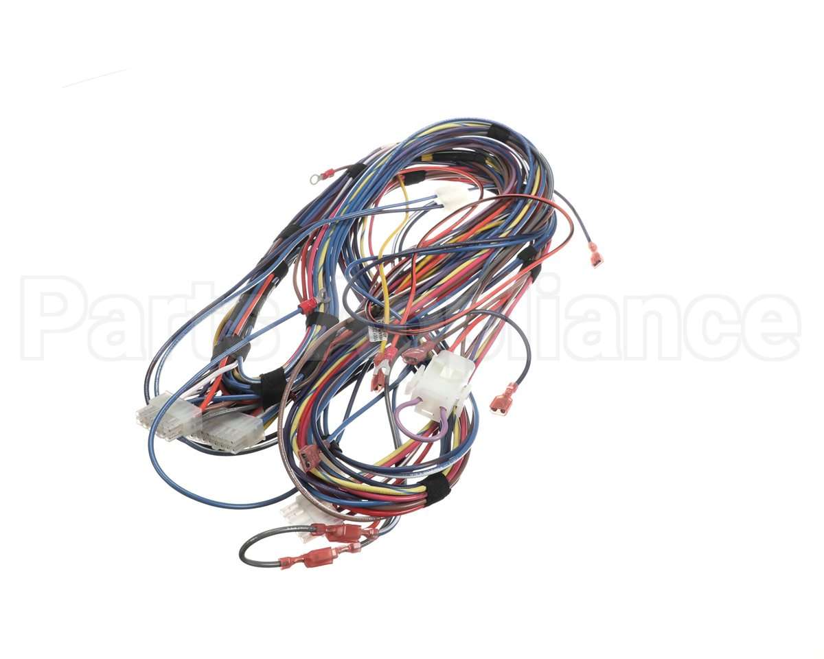 100173240 Lochinvar Harnesswire24Vpb/Pf